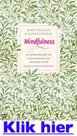 Zelfdestructief mindfulness boek